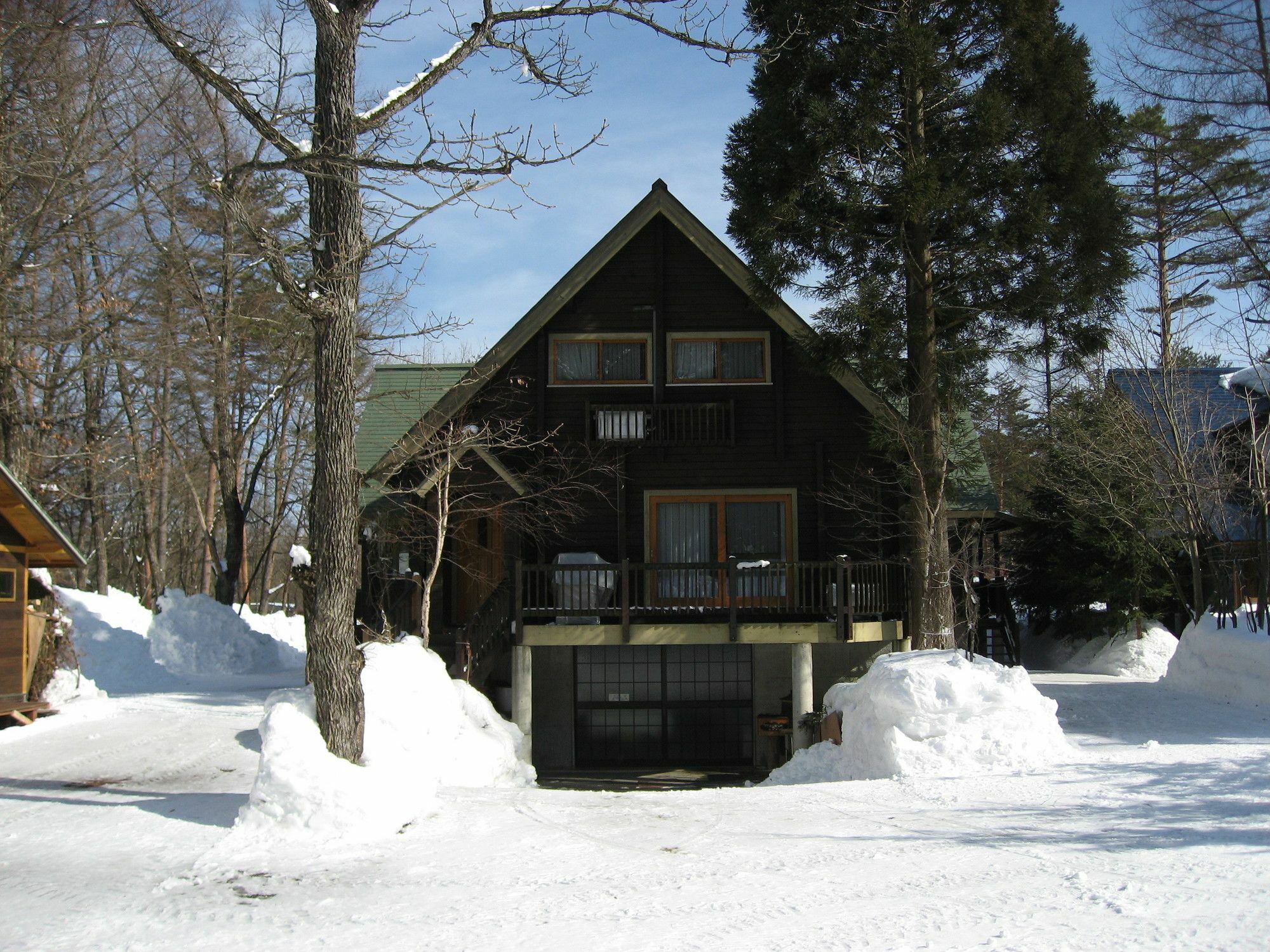 Вилла Hakuba Megeve Экстерьер фото